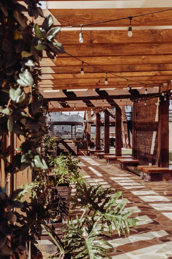 Finca El Mirador Valle de Guadalupe Bagian luar foto