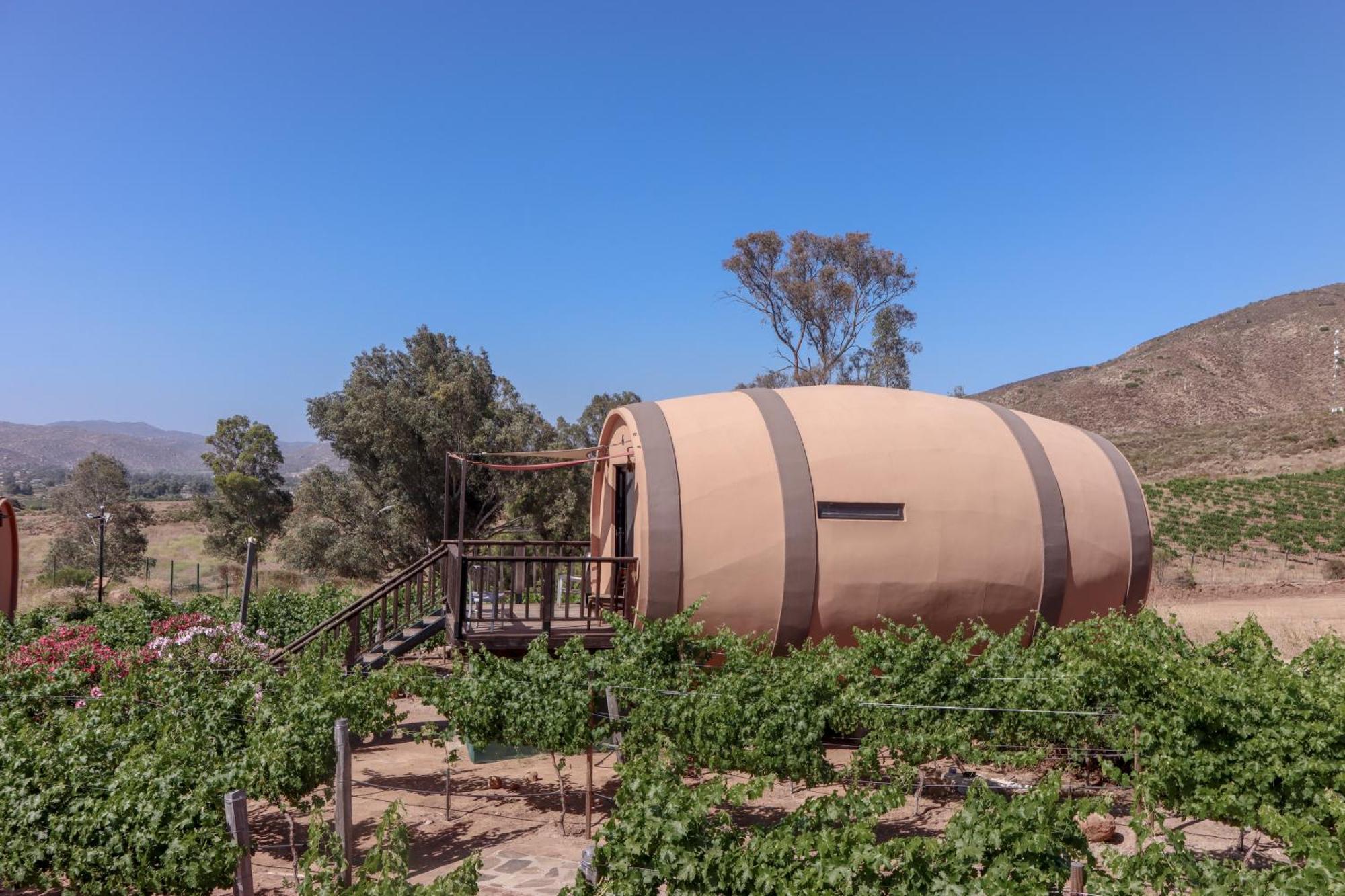 Finca El Mirador Valle de Guadalupe Bagian luar foto